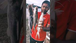 Singhara Fish  Digal Fish  Catfish  Spoon Fishing 🥰fishing fish shorts [upl. by Ynttirb480]