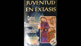 AUDIO LIBRO juventud en extasis voz latino [upl. by Hester]