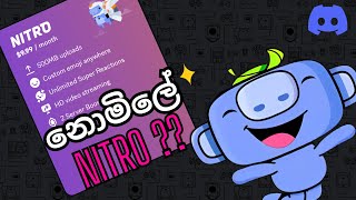 DISCORD NITRO  නොමිලේ NITRO 😎  sinhala [upl. by Nej38]