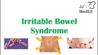 Irritable Bowel Syndrome IBS Causes Symptoms Bristol Stool Chart Types and Treatment [upl. by Katie]