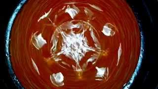 Киматика воды 713 Гц Геометрия звука  Cymatics on water 713 Hz The geometry of sound [upl. by Rusel]