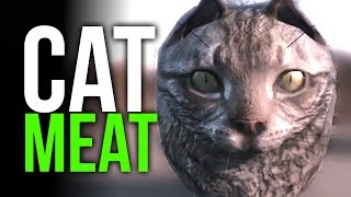 REMEMBERING CATMEAT  Fallout 4 Automatron DLC   Playthrough Pt3 [upl. by Zetneuq]