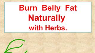 Natural Remedy to Reduce Weight  Obesity Herbs  Ayurveda Herbs For Weight Loss  TrustHerbcom [upl. by Nilorac]