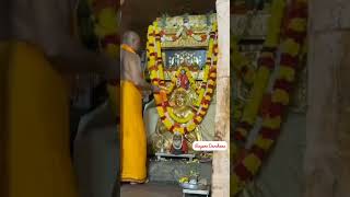 Maha Mangalarathi to Sri Raghavendra Swamy rayaradarshana viralvideos trending hinduism shorts [upl. by Paddy418]