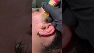 Watch how to heal piercing bumps with Base Laboratories products [upl. by Nosna]