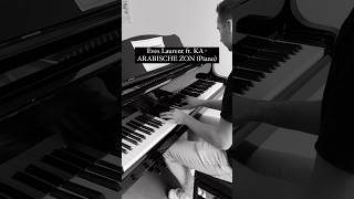 Eves Laurent ft KA  ARABISCHE ZON Piano shorts pianocover pianoshort [upl. by Trutko680]