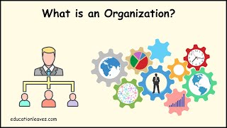 What is an Organization  Elements Process importance of Organization [upl. by Annaiuq]