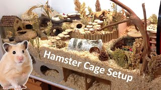 New Cage and New Setup for my Hamster [upl. by Nnylarac930]