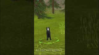 Umbra to Luce AlysCoffeeGuy wildcraft [upl. by Ylekalb487]