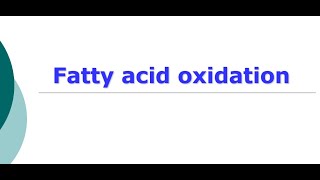 Fatty Acid Oxidation I Beta Oxidation I Omega oxidation [upl. by Allebram]