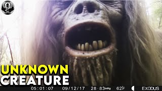 THE MOST DISTURBING TRAIL CAM FOOTAGE TO DATE [upl. by Ennirak]