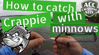 How to catch crappie with minnows  how to rig live bait [upl. by Artair]