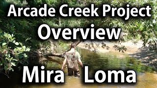 Arcade Creek Project Overview  Mira Loma High School [upl. by Notpmah]