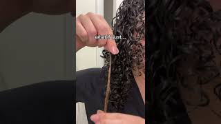 I’TS NOT PERMANENT  curly curlyhairstyles foryou hair hairgrowth fypシ゚viral afro [upl. by Ytomit543]