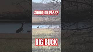 BIG buck SPOOKED from pond wildlife nature animals farming hunting [upl. by Emerej]