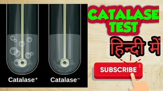 Catalase test bacterial identification in hindi [upl. by Greggs]