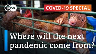 Zoonotic diseases Can we prevent the next pandemic  Covid19 Special [upl. by Ezana545]