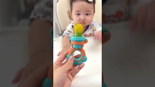 Best Baby Fruit Feeder Pacifier  A Healthy Start to Solid Foods [upl. by Narmis930]