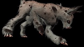 Kubrow Sahasa Build  Warframe [upl. by Netfa467]