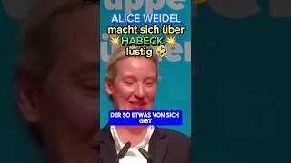 💥DARF man sich über DEN VIZEKANZLER so lustig machen 🤣💥 afd ampel habeck politik weidel bsw [upl. by Barmen]