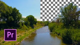 Quick and Easy way to Remove Background from a VIDEO in Premiere Pro [upl. by Poock563]