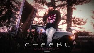 Cheeku Official Song  Vendetta  Soulcity by Echorp  Hip Hop Pulse  HeadFlicker [upl. by Uolymme252]