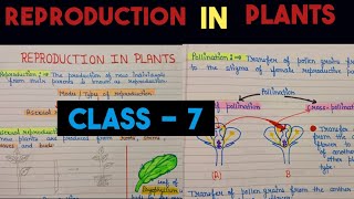 reproduction in plants class 7  reproduction in plants class 7 cbse [upl. by Mars]