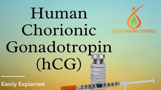 Human Chorionic Gonadotropin  HCG  Hindi Explanation  Value  Functions [upl. by Halpern642]