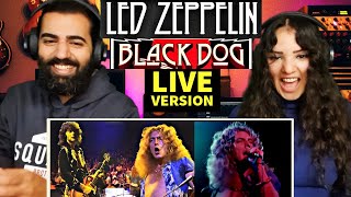 We react to Led Zeppelin  Black Dog Live at Madison Square Garden 1973  REACTION [upl. by Annej]