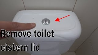 How to remove toilet cistern lid  Dual flush buttons [upl. by Celin]