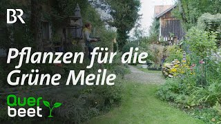 „Grüne Meile“  Pflanzenmarkt im Pfaffenwinkel [upl. by Morna]