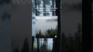 Check ‘November’ on Spotify for cozy a songs playlist that creates the perfect Autumn ambience 🌲🌫️ [upl. by Ivan34]