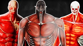 All COLOSSAL TITANS in History EXPLAINED  Attack on Titan  Ancient Titans  HINDI [upl. by Zelig]