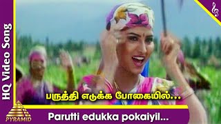 Parutti Edukka Pokaiyil Video Song  Ponvizha Tamil Movie Songs  Napoleon  Suvalakshmi  Deva [upl. by Callie]