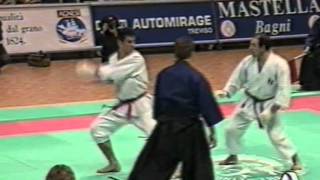 Mondiali ITKF Treviso 1994 [upl. by Shaylynn]