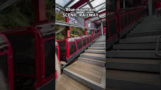 Blue mountain scenic Railway Sydney [upl. by Alyehc]