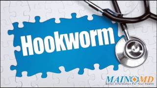 Hookworm ¦ Treatment and Symptoms [upl. by Anwadal]