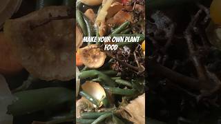 HOW TO MAKE YOUR OWN PLANT FOOD [upl. by Adnilrev]