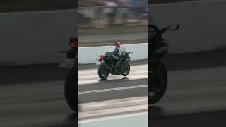 Ninja H2 SX vs Hayabusa  superbikes drag racing [upl. by Hudnut]