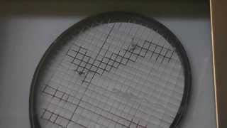 Miloslav Mecirs Racket [upl. by Fletcher]