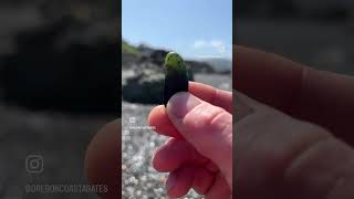 Nephrite JADE 💚🖤💚 jade nephrite nephritejade rockhounding california beachcombing lapidary [upl. by Mackintosh936]