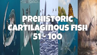 Prehistoric Cartilaginous Fish 51  100 25 [upl. by Yendyc]