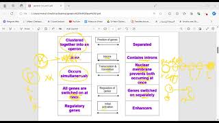 Lac Operon  Try Operon  Transcription control of gene regulation [upl. by Ilecara]