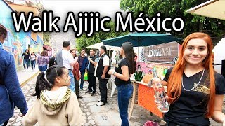 AJIJIC MEXICO 2018 WALK  LAKE CHAPALA 🇲🇽 [upl. by Annawat]