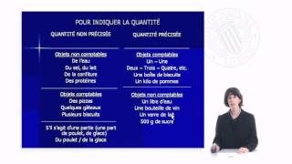 Les articles partitifs   UPV [upl. by Ayouqes]