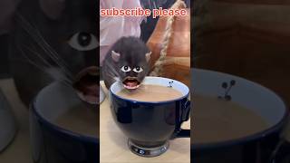 Billi ne meri chai Pi Li kapde mein se aur chai Ko faila Diya cat 🐈😺 comedy billi cats funny [upl. by Ettevad]