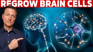 Renew amp Protect Your Brain Cells  Brain Derived Neurotrophic Factor – Dr Berg [upl. by Eidaj]