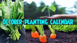 October planting calendar [upl. by Aehsan484]