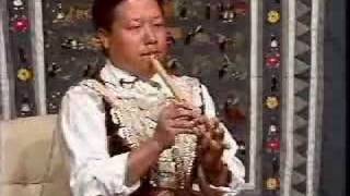 Hmong Flute Performance [upl. by Cinomod]