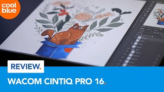 Wacom Cintiq Pro 16  Review [upl. by Beaulieu]